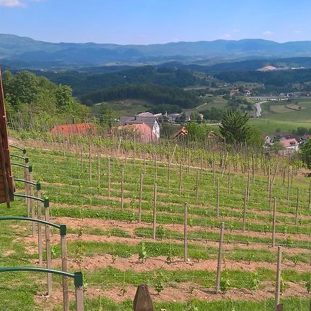 Vineyard Cottage Lustek Novo Mesto Luaran gambar