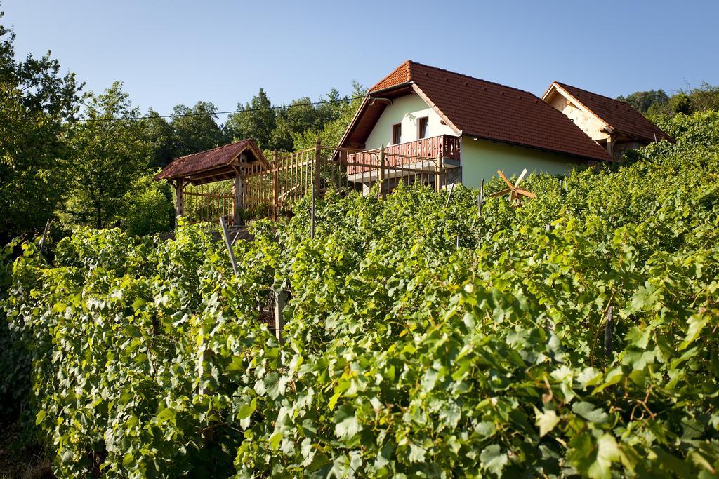 Vineyard Cottage Lustek Novo Mesto Luaran gambar